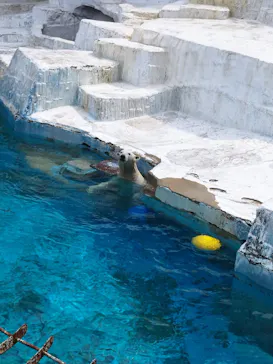 天王寺動物園に投稿された画像（2023/4/2）