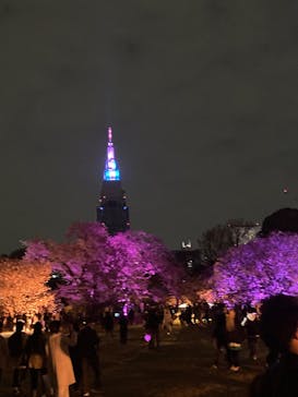 NAKED 桜の新宿御苑 2023に投稿された画像（2023/4/2）