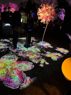 NAKED 桜の新宿御苑 2023に投稿された画像（2023/4/2）