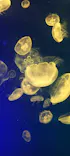 名古屋港水族館に投稿された画像（2023/4/2）
