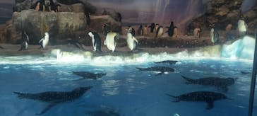 名古屋港水族館に投稿された画像（2023/4/2）