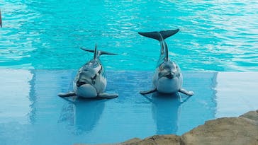 名古屋港水族館に投稿された画像（2023/4/2）