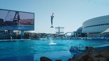 名古屋港水族館に投稿された画像（2023/4/2）