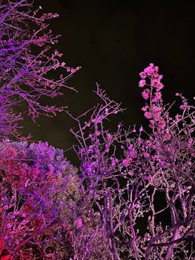 せんだい農業園芸センター　みどりの杜に投稿された画像（2023/4/2）