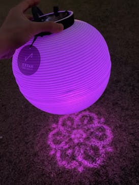 NAKED 桜の新宿御苑 2023に投稿された画像（2023/4/2）