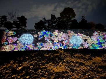 『NAKED FLOWERS 2023 桜 世界遺産・二条城』に投稿された画像（2023/4/2）