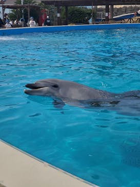 南知多ビーチランド＆南知多おもちゃ王国に投稿された画像（2023/4/2）