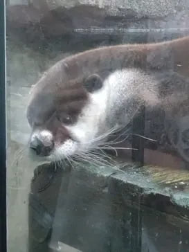 仙台うみの杜水族館に投稿された画像（2023/4/2）
