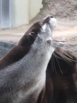 仙台うみの杜水族館に投稿された画像（2023/4/2）