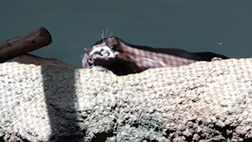 仙台うみの杜水族館に投稿された画像（2023/4/2）