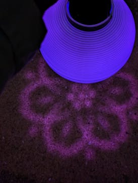 NAKED 桜の新宿御苑 2023に投稿された画像（2023/4/2）