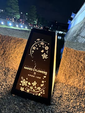 『NAKED FLOWERS 2023 桜 世界遺産・二条城』に投稿された画像（2023/4/2）
