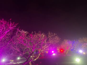 せんだい農業園芸センター　みどりの杜に投稿された画像（2023/4/2）