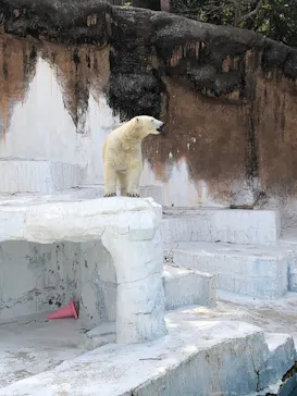 天王寺動物園に投稿された画像（2023/4/2）