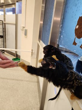 アニタッチみなとみらいに投稿された画像（2023/4/2）