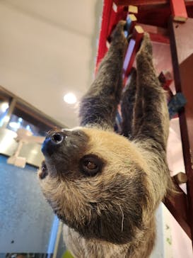 アニタッチみなとみらいに投稿された画像（2023/4/2）