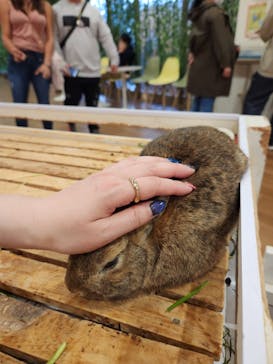 アニタッチみなとみらいに投稿された画像（2023/4/2）