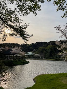 三溪園に投稿された画像（2023/4/2）