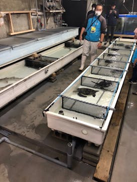 南知多ビーチランド＆南知多おもちゃ王国に投稿された画像（2023/4/2）