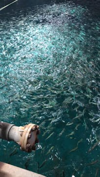 南知多ビーチランド＆南知多おもちゃ王国に投稿された画像（2023/4/2）