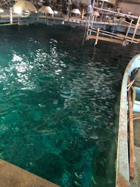 南知多ビーチランド＆南知多おもちゃ王国に投稿された画像（2023/4/2）