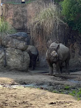 天王寺動物園に投稿された画像（2023/4/2）