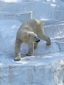 天王寺動物園に投稿された画像（2023/4/2）