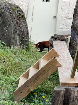 天王寺動物園に投稿された画像（2023/4/2）