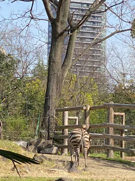 天王寺動物園に投稿された画像（2023/4/2）