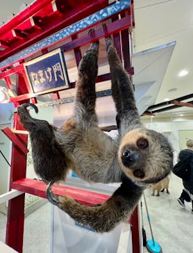 アニタッチみなとみらいに投稿された画像（2023/4/2）