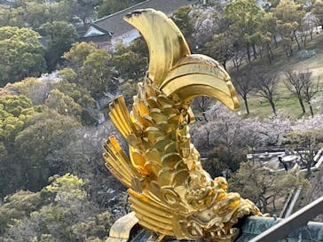 大阪城天守閣に投稿された画像（2023/4/2）
