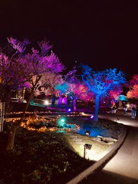 せんだい農業園芸センター　みどりの杜に投稿された画像（2023/4/2）