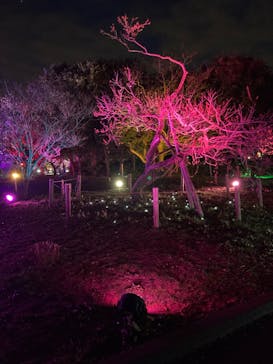 せんだい農業園芸センター　みどりの杜に投稿された画像（2023/4/2）