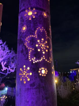 せんだい農業園芸センター　みどりの杜に投稿された画像（2023/4/2）