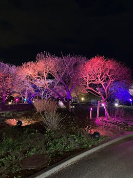 せんだい農業園芸センター　みどりの杜に投稿された画像（2023/4/2）