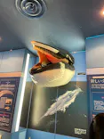 名古屋港水族館に投稿された画像（2023/4/3）