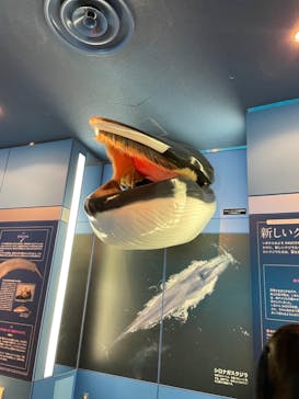 名古屋港水族館に投稿された画像（2023/4/2）