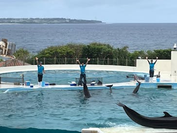 沖縄美ら海水族館に投稿された画像（2023/4/2）