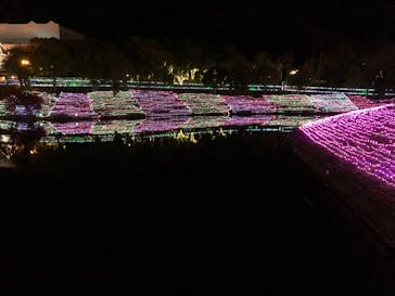 レオマリゾートに投稿された画像（2023/4/2）