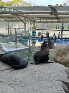 京都水族館に投稿された画像（2023/4/2）