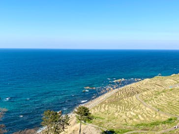 西日本ジェイアールバス　金沢エリアに投稿された画像（2023/4/2）