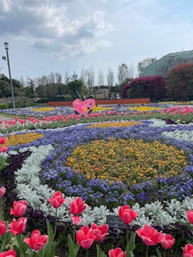 安城産業文化公園デンパークに投稿された画像（2023/4/2）