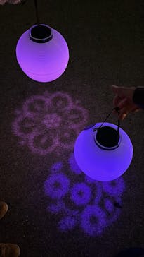 NAKED 桜の新宿御苑 2023に投稿された画像（2023/4/2）