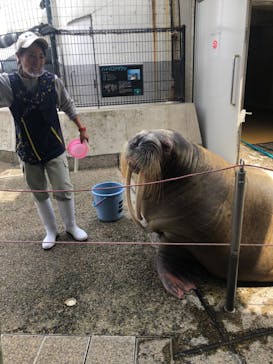 大分マリーンパレス水族館 「うみたまご」に投稿された画像（2023/4/2）