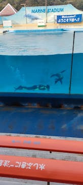 下田海中水族館に投稿された画像（2023/4/3）