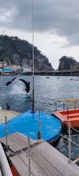 下田海中水族館に投稿された画像（2023/4/3）