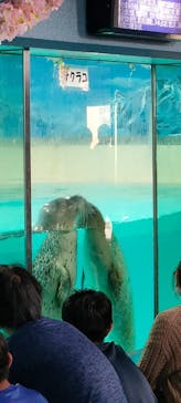 下田海中水族館に投稿された画像（2023/4/3）