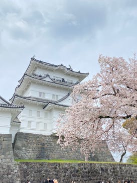 小田原城に投稿された画像（2023/4/3）