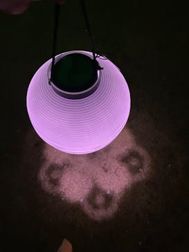 NAKED 桜の新宿御苑 2023に投稿された画像（2023/4/3）