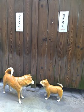 大阪市立住まいのミュージアム（大阪くらしの今昔館）に投稿された画像（2023/4/3）